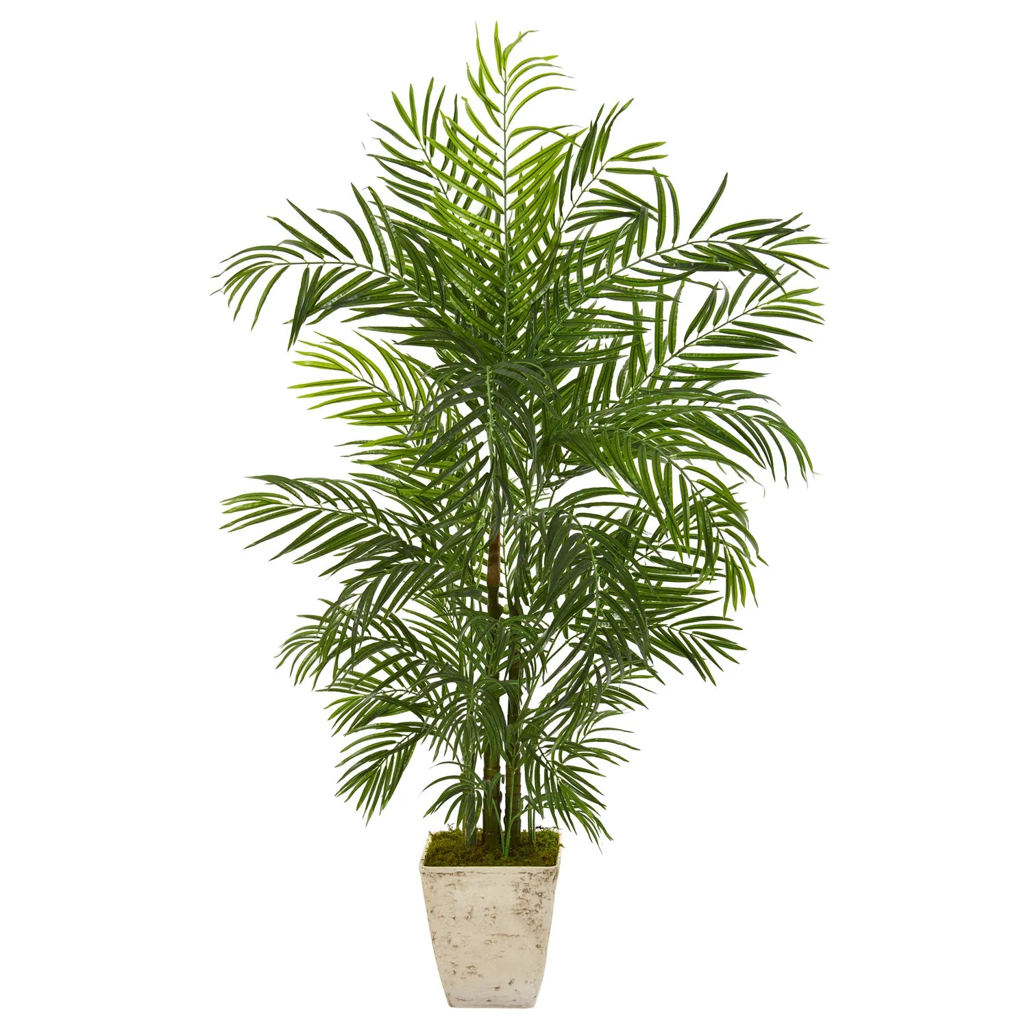 63" Areca Palm Tree in Planter UV Resistant (Indoor/Outdoor)