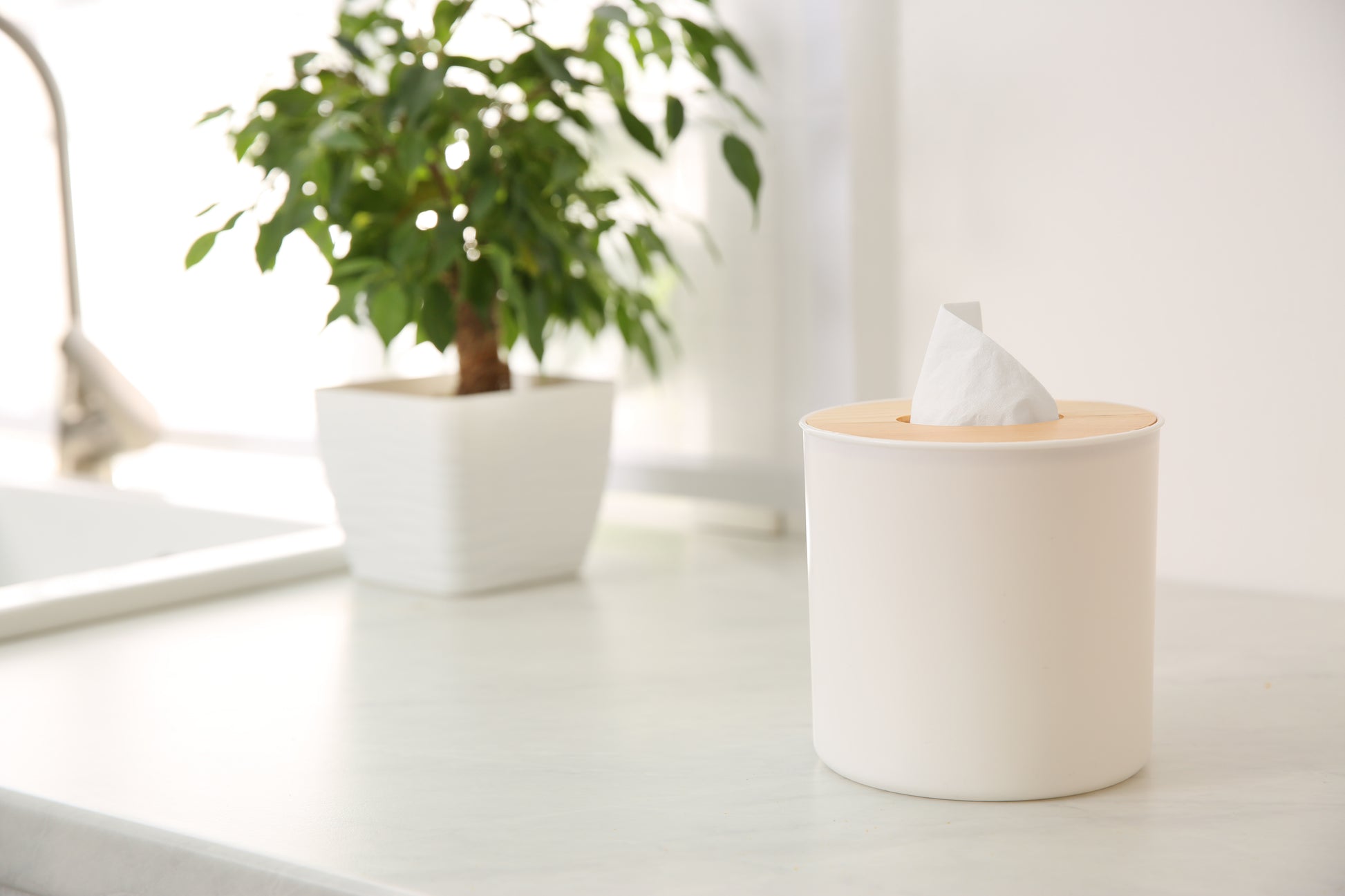 Tissue Box Cover