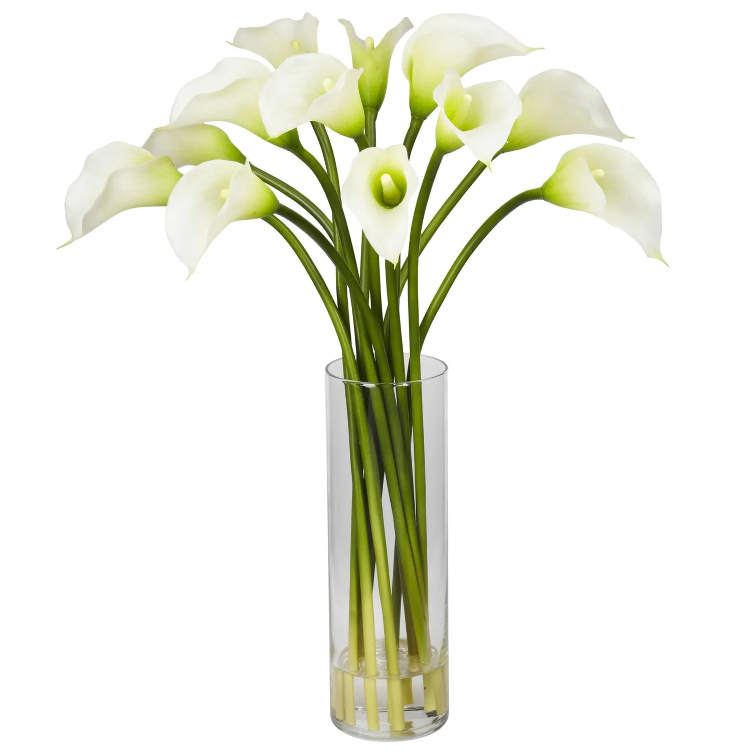 Calla Lilly w/Cylinder Vase Cream