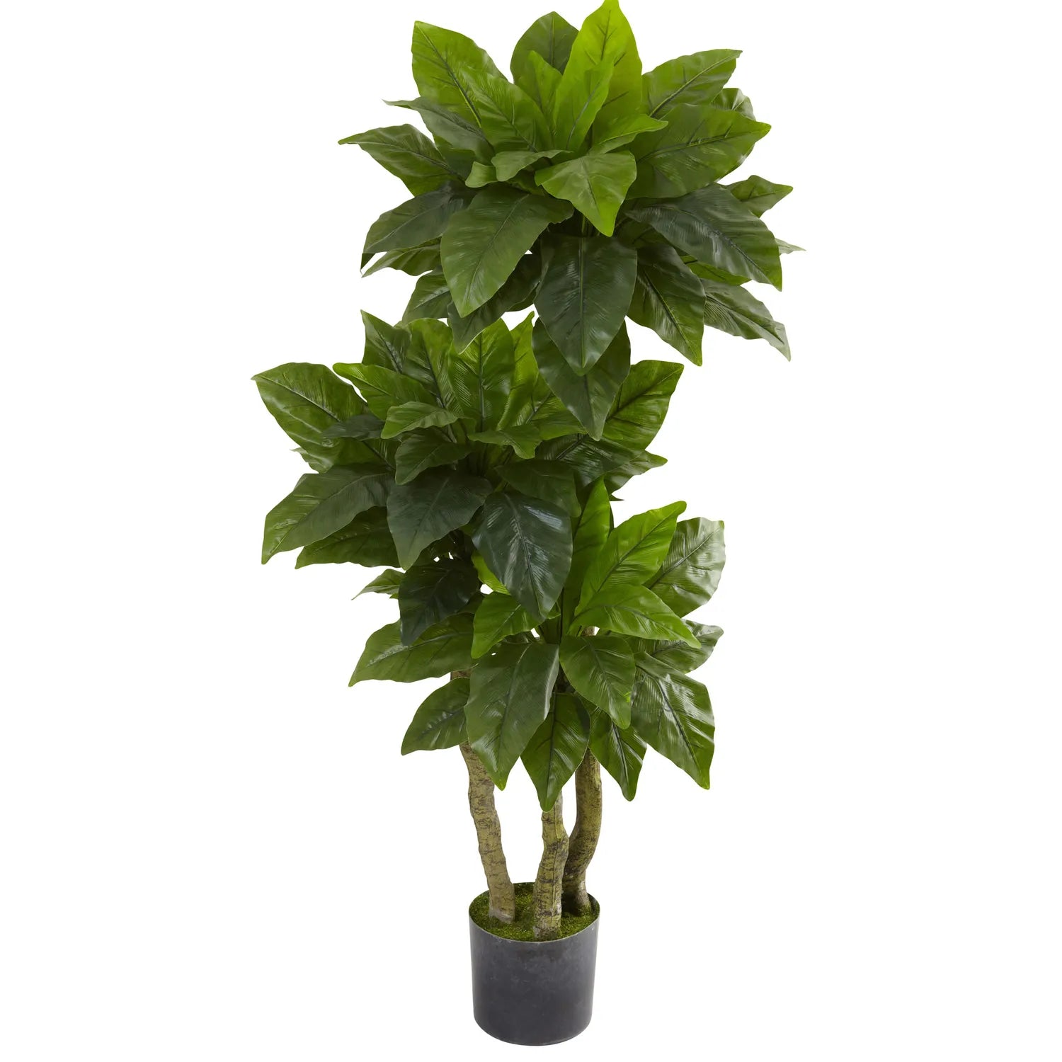 5' Bird Nest Tree UV Resist x 3 w/90 Lvs (Indoor/Outdoor)