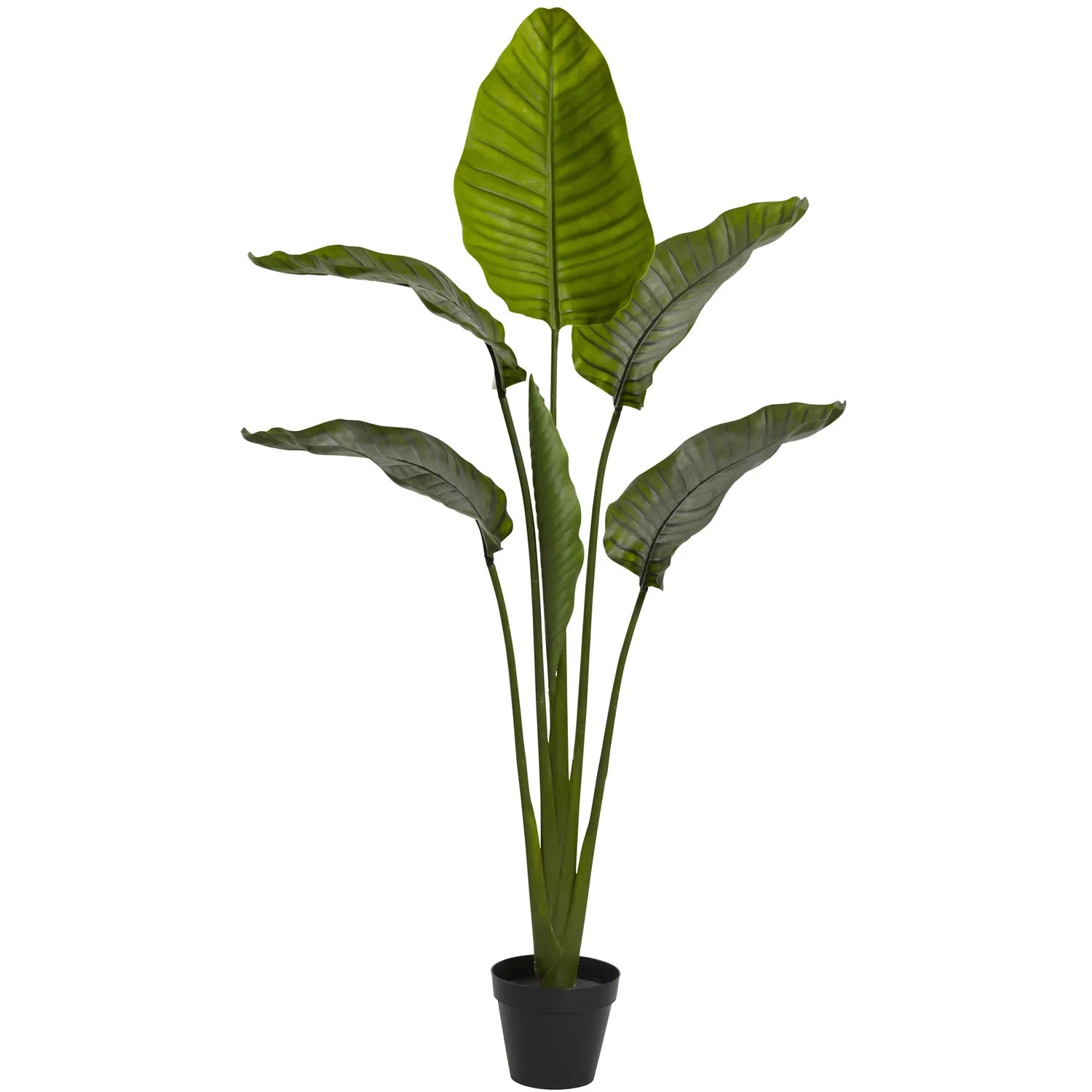 60" Travelers Palm Tree w/6 Lvs UV Resist (Indoor/Outdoor)
