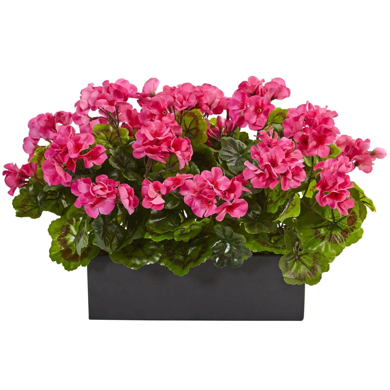 13" Geranium in Planter UV Resistant (Indoor/Outdoor) Beauty