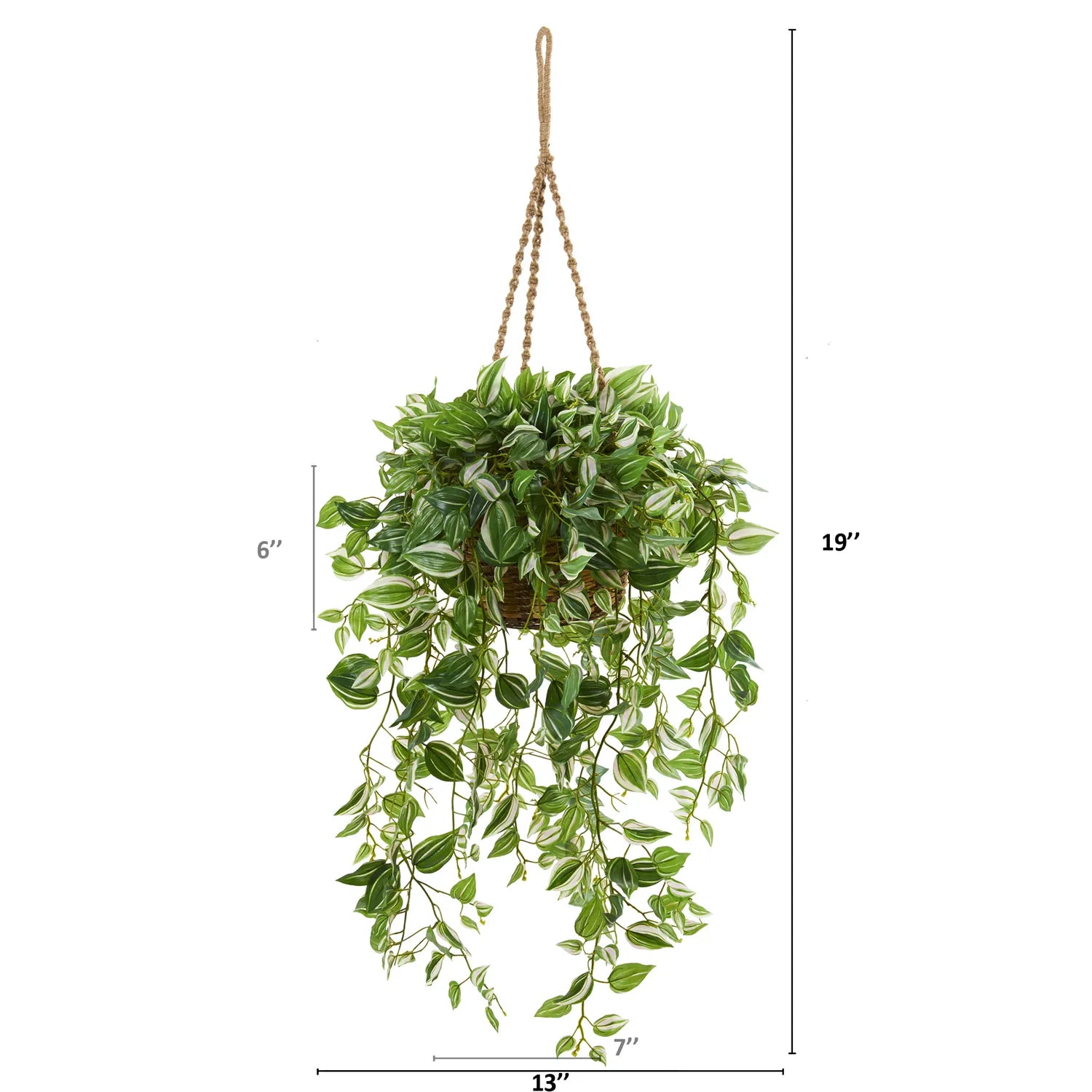 51" Wandering Jew Plant in Hanging Basket (Real Touch)