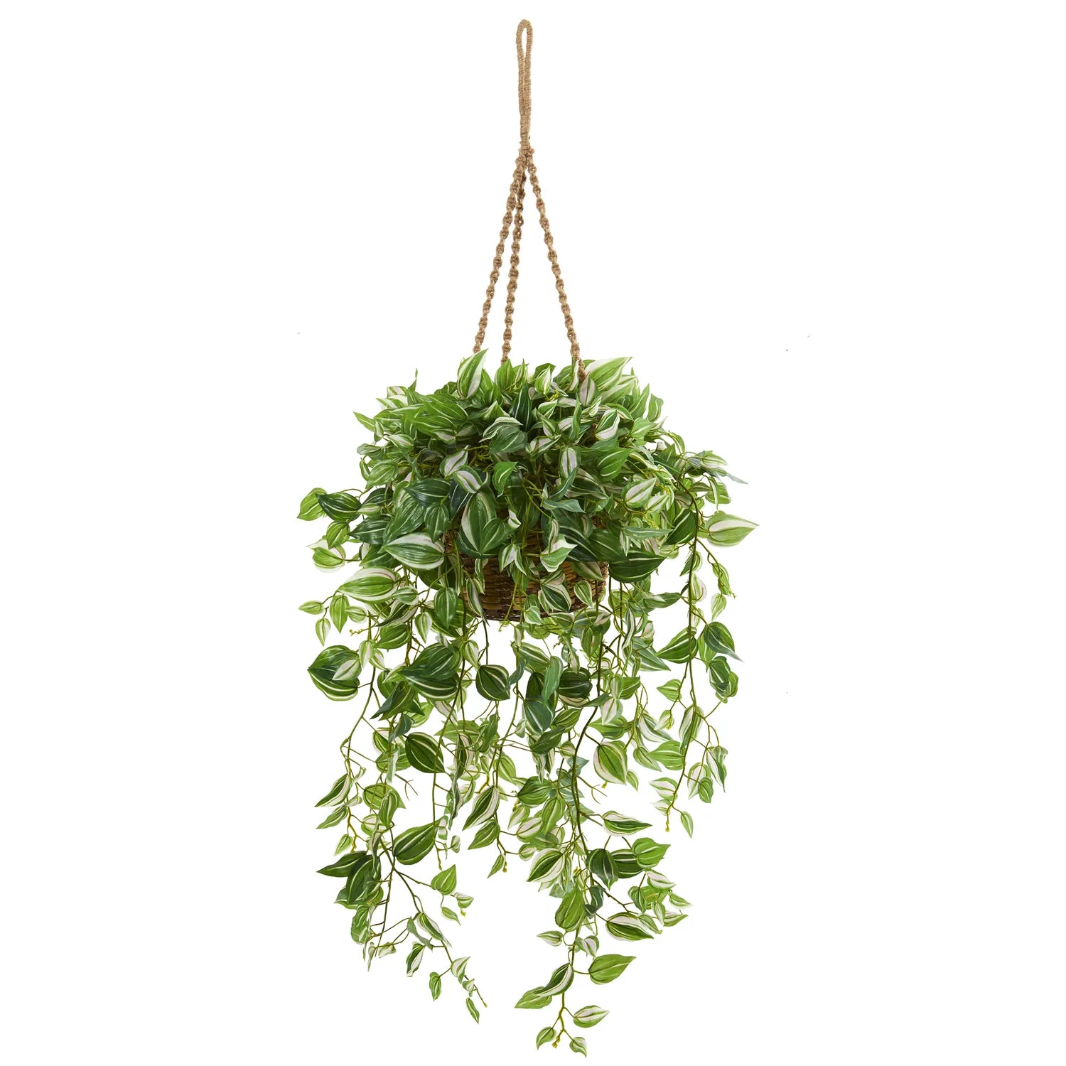51" Wandering Jew Plant in Hanging Basket (Real Touch)