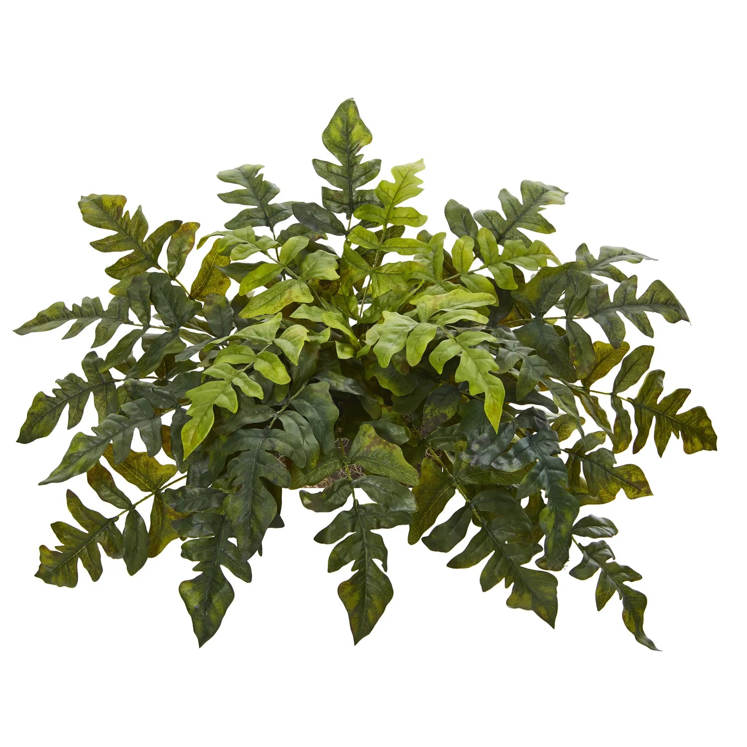 32" Holly Fern Artificial Ledge Plant