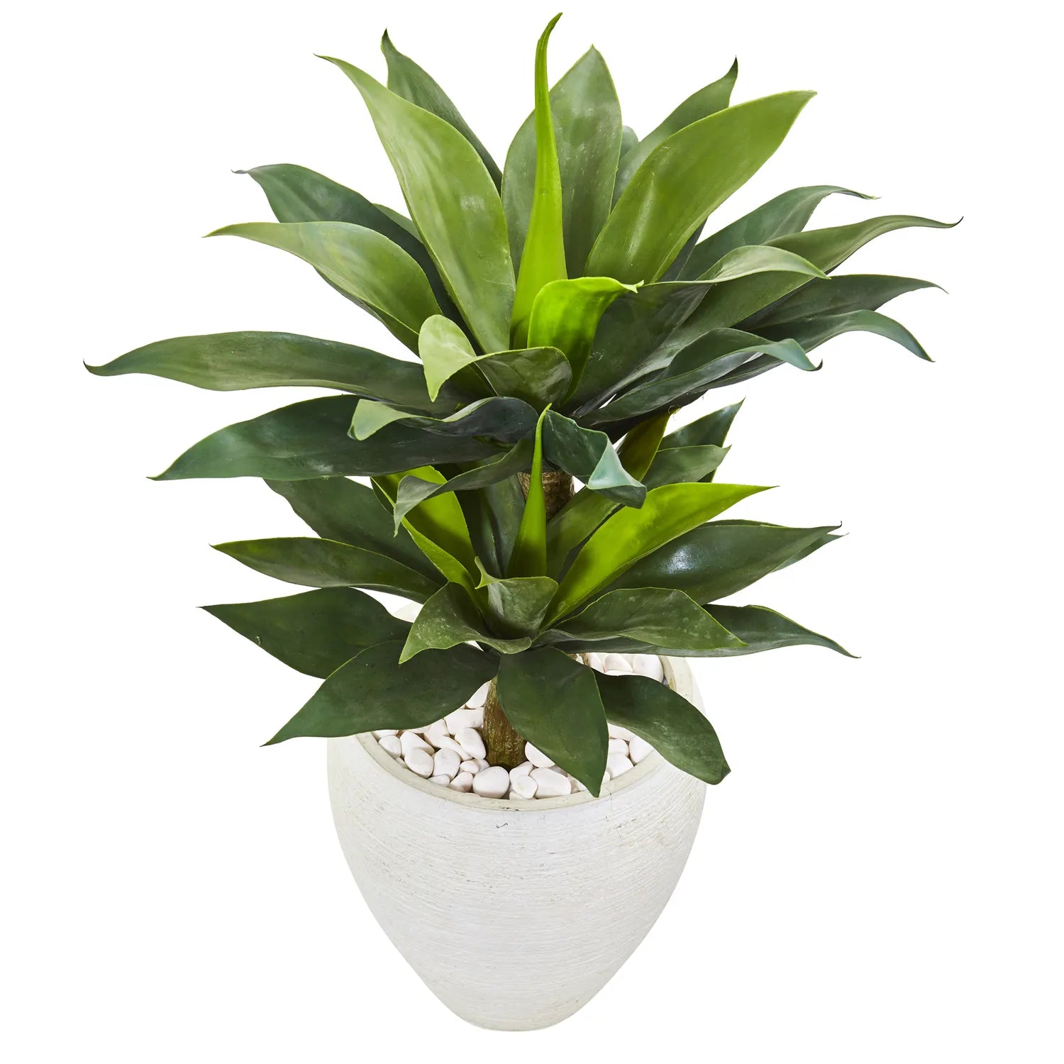 33" Double Agave Succulent Artificial Plant in White Planter