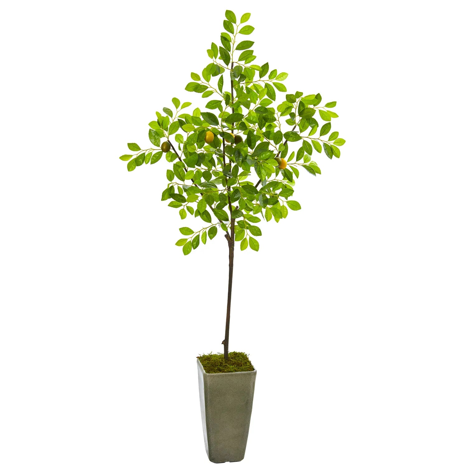 6' Lemon Artificial Tree in Olive Green Planter
