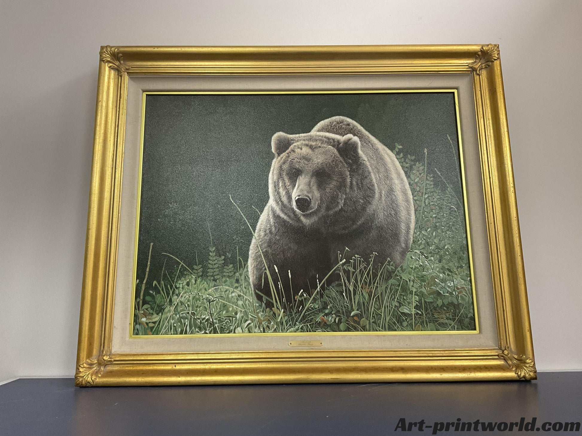 Unrivaled - Brown Bear